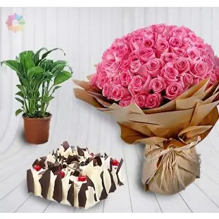 Bouquet of 50 pink roses with 1 pound white forest cool cake with peace lily plant
