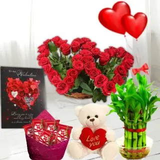 Bunch of 20 red roses, Pack of 4 temptations chocolates, 6 inch height teddybear, 2 layer Lucky bamboo plant, 5 blown balloons with greeting card  