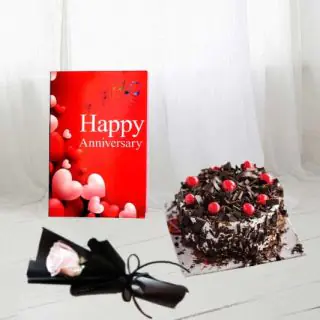 Single white rose, 1 kg black forest cool cake, anniversary card 