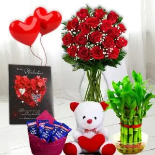 Bunch of 8 red roses, set of 2 dairy milk silk chocolates, 6 inch height teddybear, 2 layer Lucky bamboo plant, 5 blown balloons with greeting card