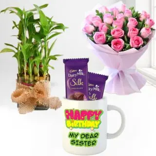 bunch of 15 pink roses, 2 layer lucky bamboo plant , photo mug with 2 dairy milk silk 