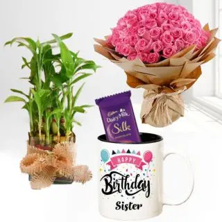 Bunch of 50 pink roses, photo mug lucky bamboo plant with dairy milk silk chocolates 