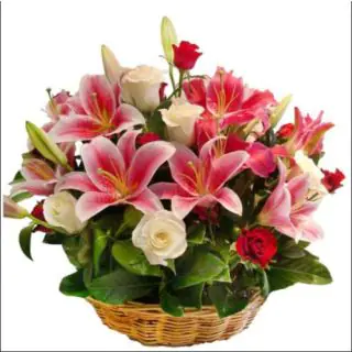 Basket of red and white roses with pink lilies