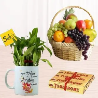 Basket of 2 kg assorted mix fruits basket,lucky bamboo in photo mug with set of 3 toblerone chocolates 