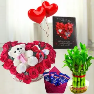 Bunch of 15 red roses, set of 3 bournville chocolates, 6 inch height teddybear, 2 layer Lucky bamboo plant, 5 blown balloons with greeting card