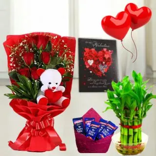 6 red roses bunch with 6 inch teddybear arranged in it, set of 3 toblerone chocolates, 6 inch height teddybear, 2 layer Lucky bamboo plant, 5 blown balloons with greeting card