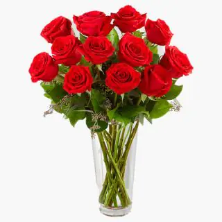 12 Red Roses in Vase