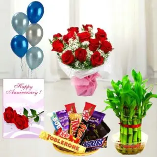 Bunch of 10 red roses, basket of assorted chocolates, 6 inch height teddybear , 2 layer Lucky bamboo plant ,5 blown balloons with anniversary greeting card