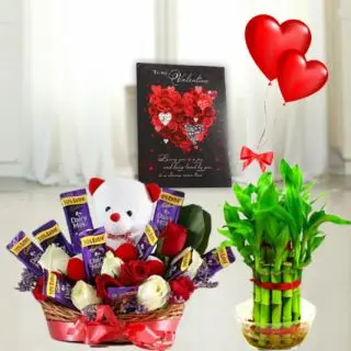 Basket arrangement of 8 roses, 6 dairy milk with 6 teddybear sitting in it, set of 3 dairy milk silk chocolates, 6 inch height teddybear, 2 layer Lucky bamboo plant, 5 blown balloons with greeting card