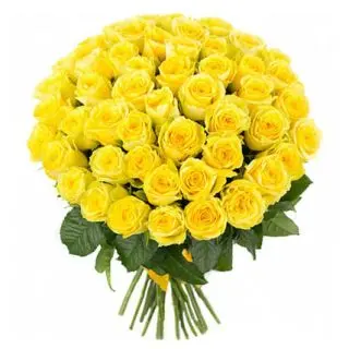 Bunch of 30 white roses