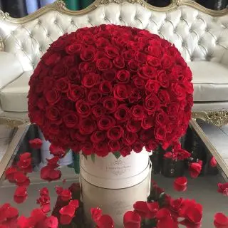 Shower of love...500 red roses bouquet .... the biggest  floral gift ever on this valentine