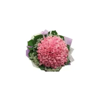 50 Pink Rose bunch