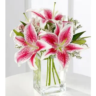 5 pink Oriental lilies in glass vase