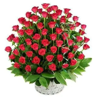 Arrangement of 60 Red Roses