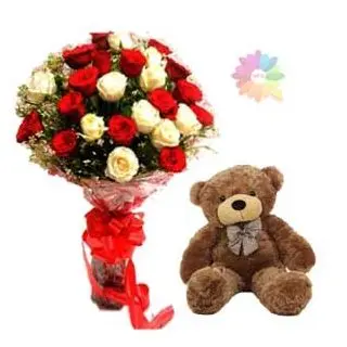 bunch of 20 red and white roses with 1 feet height brown teddy bear