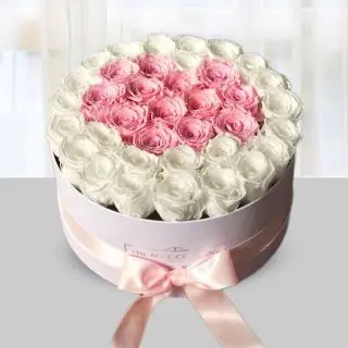 Box Arrangement of 50 pink and white roses