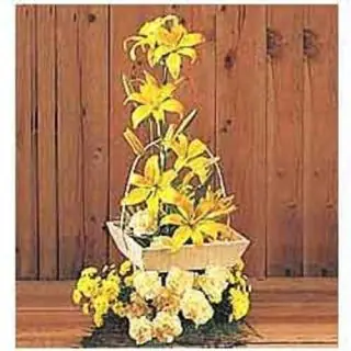 Arrangement of 10 yellow lilies with 10 yellow carnations