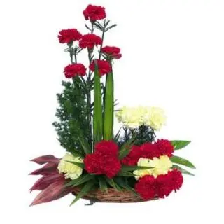 Arrangement of 20 REd and yellow Carnations