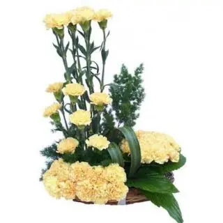 Arrangement of 20 yellow carnations