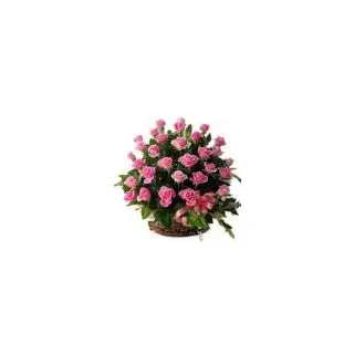 arrangement of 25 Pink Roses