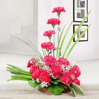 Beautiful Arrangement of 20 Red Carnations