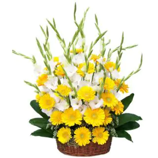 basket of yellow gerberas with white glads