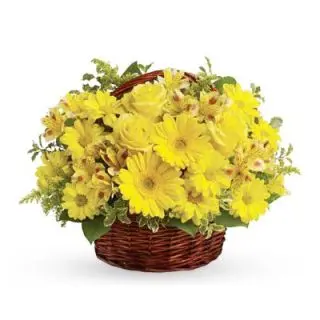 Basket Arrangement of 10 yellow gerberas with 10 yellow roses 