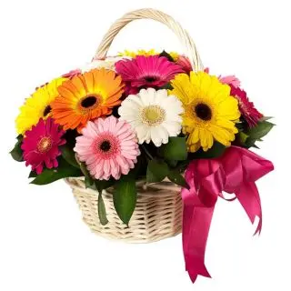 Basket arrangement of 15 mix colour gerberas 
