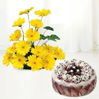 Basket arrangement of 20 yellow gerberas with choco chips cake 