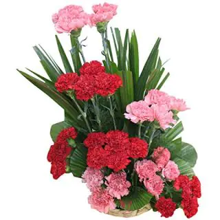 Basket arrangement of 35 red and pink carnations 