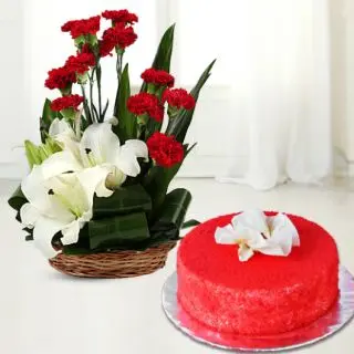Basket arrangement of red carnations with white lilies with red velvet cool cake 