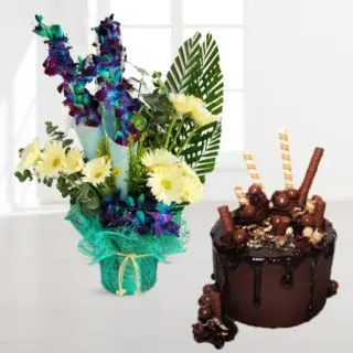 Basket arrangement of orchids and gerberas with chocolate explosion premium quality cake 