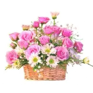 basket of 20 pink roses with crysanthemums