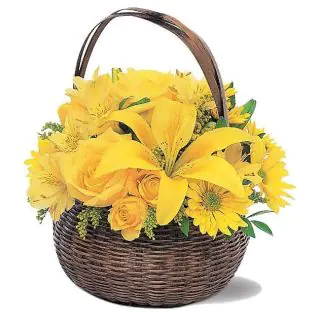 Basket of 2 yellow lilies , 5 yellow roses with 5 yellow gerberas 