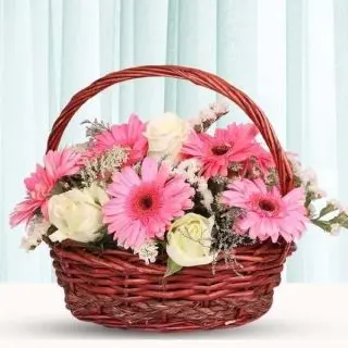 Basket of 7 pink gerberas with 6 white roses 