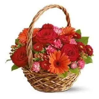basket of 8 roses with 7 gerberas