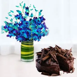 Beautiful arrangement of 10 blue orchids in vase with half kg chocolate truffle premium quality cake 