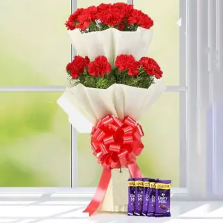 Beautiful bouquet of 20 red carnation with 5 dairy milk chocolates