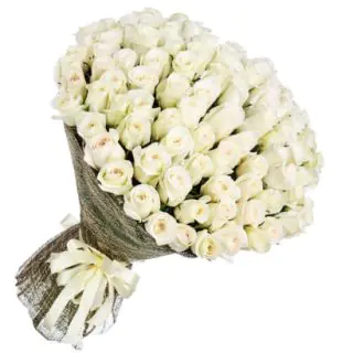 Beautiful Bunch of 100 white roses 