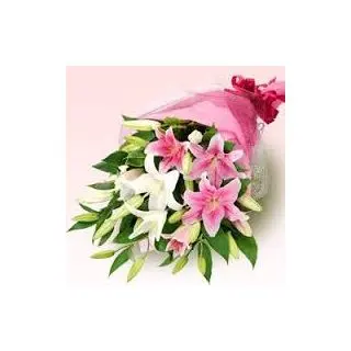 Beautiful hand bouquet of 10 lilies in pink and white combination can be the best choice 