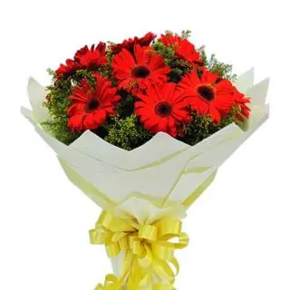 Beautiful hand bouquet  of 12 red gerberas 