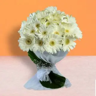 Beautiful hand bouquet of 20 white gerberas 