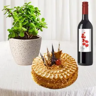 Beautiful jade plant in ceramic pot with half kg butterscotch premium quality cake, with bottle of red wine 