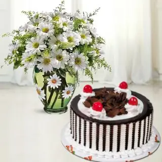 Beautiful Vase arrangement of 20 white daisy with black forest cool cake 