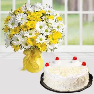 Beautiful vase arrangement of 40 daisies with white forest cool cake 