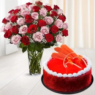 Beautiful Vase arrangement of 40 red and pink roses with red velvet cake 