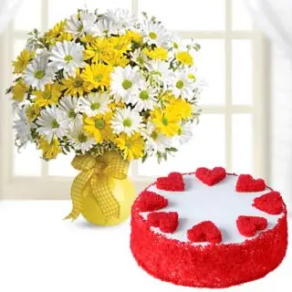 Beautiful vase arrangement of mix colour daisies with red velvet cool cake 