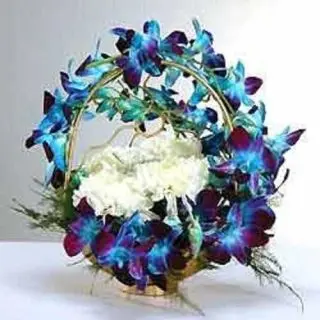Blue orchids and white carnations exotic arrangement