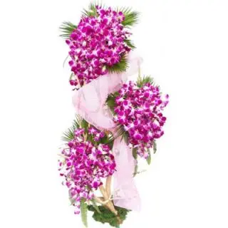 Beautiful memories- Grand looking 4 feet height orchids designer arrangement