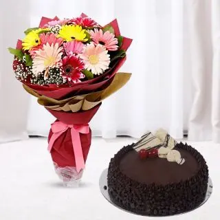 Bouquet of 12 mix colour gerberas with choco chips cake 